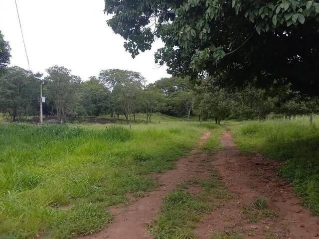 #20 - Chácara para Venda em Itaberaí - GO - 2