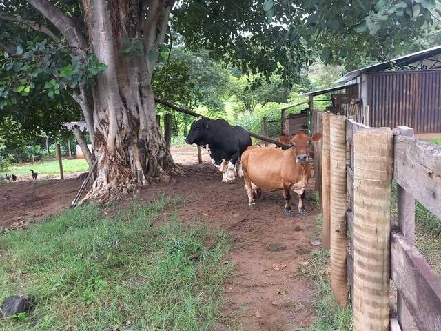 Chácara para Venda em Itaberaí - 5