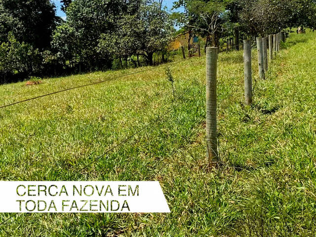 #52 - Chácara para Venda em Anicuns - GO - 2