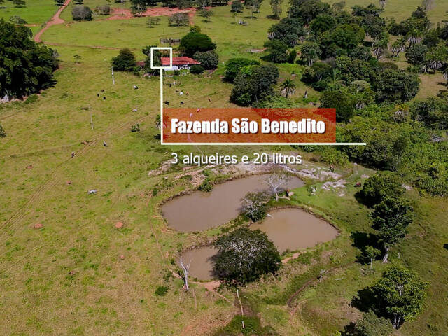 #52 - Chácara para Venda em Anicuns - GO - 3