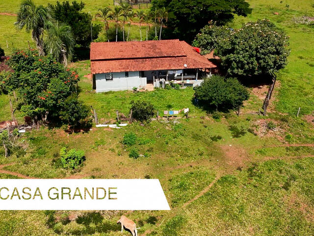 Chácara para Venda em Anicuns - 5