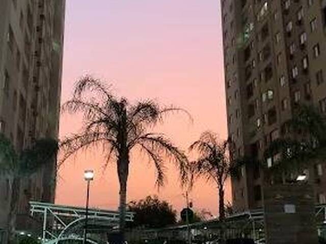#81 - Apartamento para Venda em Aparecida de Goiânia - GO - 2