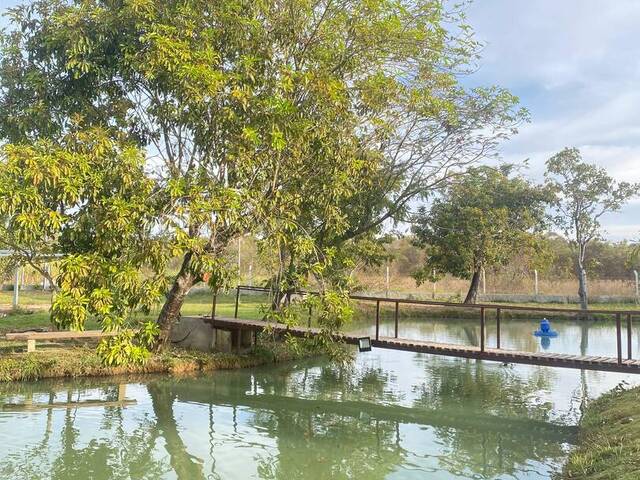 Chácara para Venda em Trindade - 4
